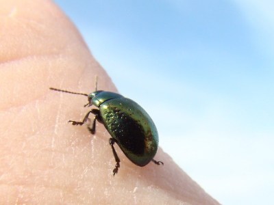 Comment résoudre HTTP Error 502.5 – ANCM Out-Of-Process Startup&nbsp;Failure